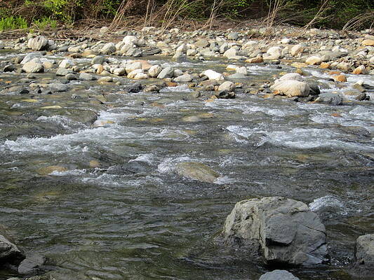 Running Water by Muryah Scouten