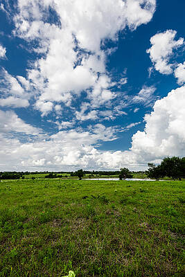Rural Respite by Dan Vidal Rural Respite by Dan Vidal