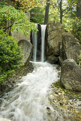 Rushing Waters by Michaela Hoban