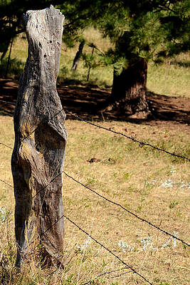 Wall Art - Photograph - Rustic Dakota Fence by Greni Graph