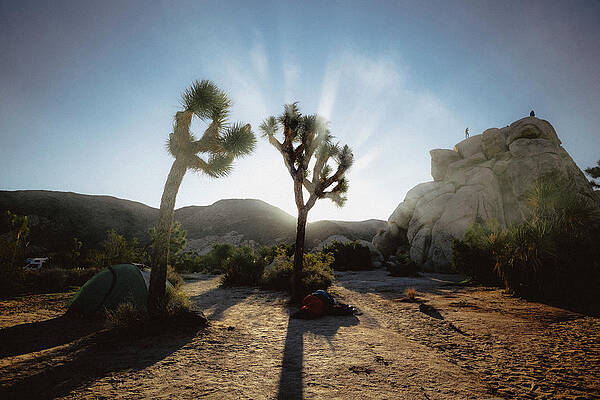 Wall Art - Photograph - Ryan Campground In Joshua Tree, Ca by Ryan Tuttle