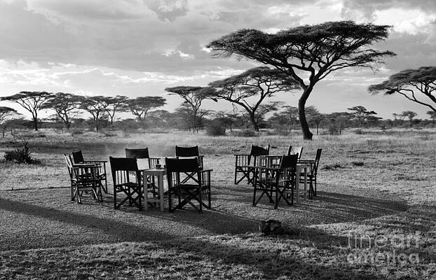 Safari Campfire by Chris Scroggins Safari Campfire by Chris Scroggins
