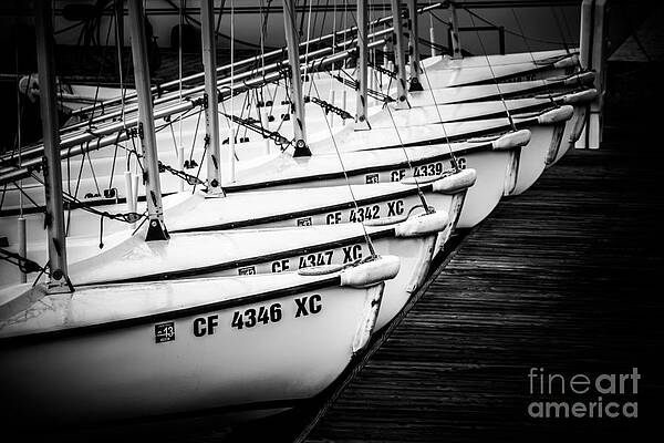 Wall Art - Photograph - Sailboats in Newport Beach California Picture by Paul Velgos