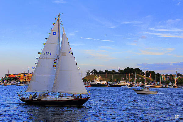 Sailing in the Baltimore Harbor by Sarah Donald Sailing in the Baltimore Harbor by Sarah Donald