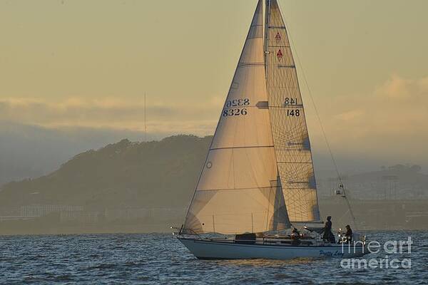 Sailing Into Dusk by Jeff Regan