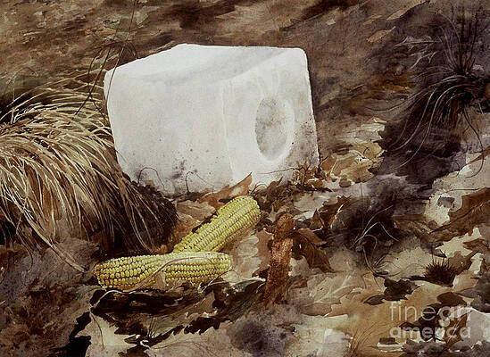 SALT BLOCK by Monte Toon SALT BLOCK by Monte Toon