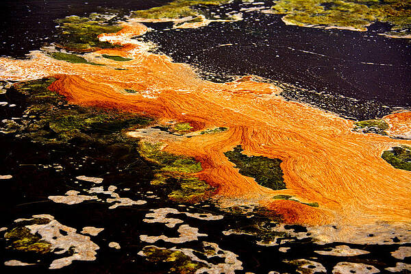 Wall Art - Photograph - Salt Marsh Abstract by Kathi Isserman