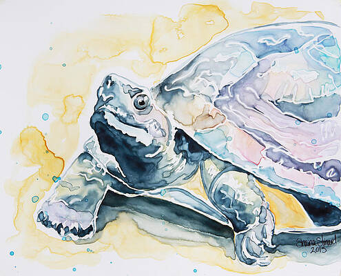 Turtle Paintings (Page #10 of 35) | Fine Art America