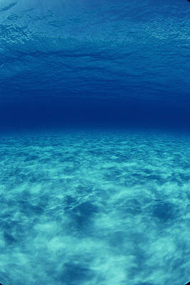 Wall Art - Photograph - Sand Bottom In Caribbean by Jeff Rotman