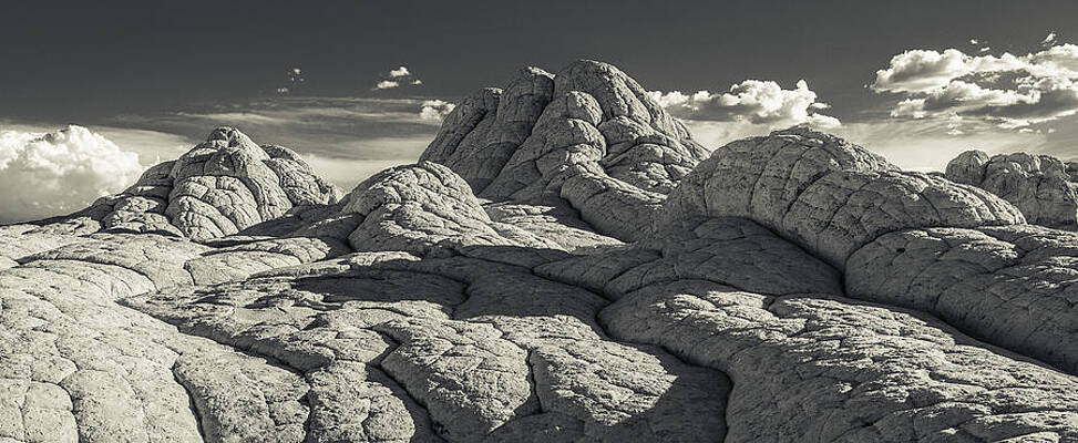 Sand Dunes Petrified by Steve Williams Sand Dunes Petrified by Steve Williams