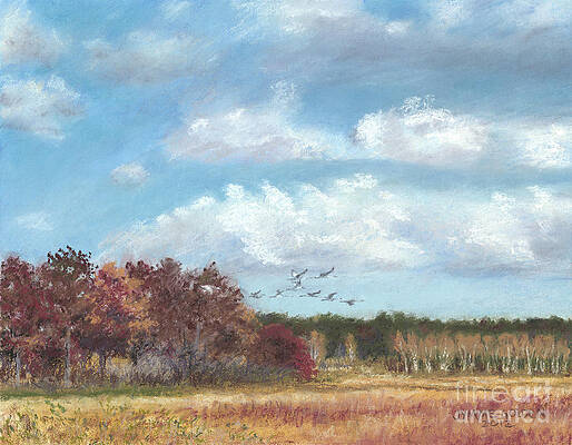 Sandhill Cranes at Crex with Birch by Jymme Golden Sandhill Cranes at Crex with Birch by Jymme Golden