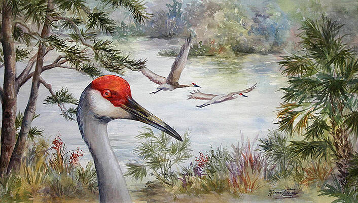 Sandhill View by Roxanne Tobaison Sandhill View by Roxanne Tobaison