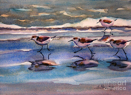 Sandpipers running in beach shade 3-10-15 by Julianne Felton Sandpipers running in beach shade 3-10-15 by Julianne Felton
