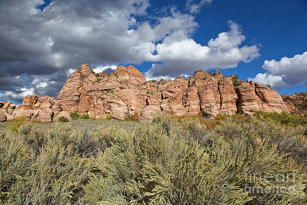 Wall Art - Photograph - Sandstone And Clouds in Zion Natl Park Utah by Yva Momatiuk John Eastcott