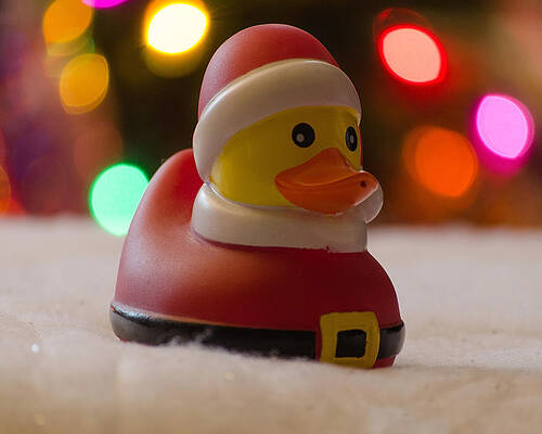 Wall Art - Photograph - Santa Rubber Ducky  by Dave Sandt