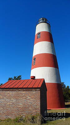 Wall Art - Photograph - Sapelo Lighthouse by Andre Turner