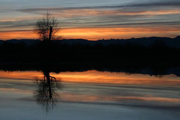 Sauvie Island by Steve Parr Sauvie Island by Steve Parr