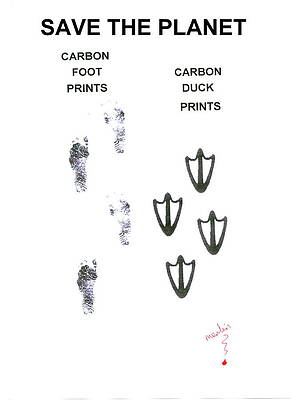 SAVE THE PLANET from what? by GEORGE VERNON