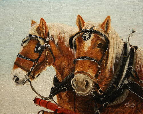 Wall Art - Painting - Say What? by Tammy Taylor