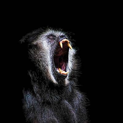 Scary Black Monkey Vicious Fanged Teeth by Tracie Kaska Scary Black Monkey Vicious Fanged Teeth by Tracie Kaska