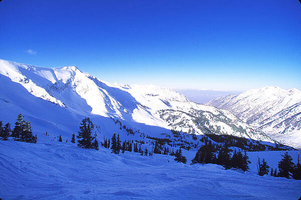 Wall Art - Photograph - Scenic Ski Runs At Snowbird Resort by Jose Azel