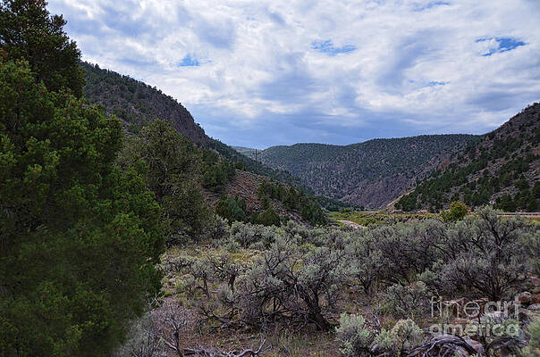 Scenic Utah by Donna Greene Scenic Utah by Donna Greene
