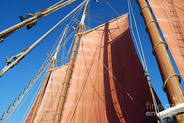 Schooner Sails III by Rosemarie Morelli Schooner Sails III by Rosemarie Morelli