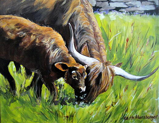 Scottish Highlands Cattle by Edith Hunsberger Scottish Highlands Cattle by Edith Hunsberger