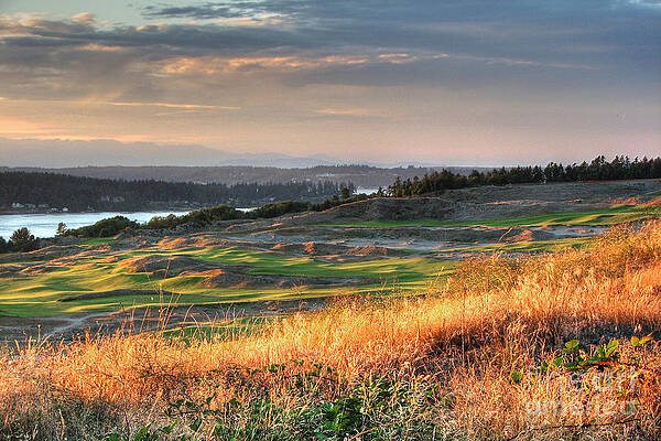 Scottish Style Links in September - Chambers Bay Golf Course by Chris Anderson Scottish Style Links in September - Chambers Bay Golf Course by Chris Anderson