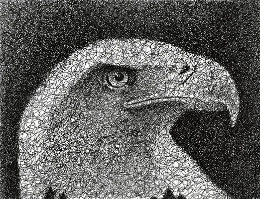 Wall Art - Drawing - Scribble Eagle by Nathan Shegrud