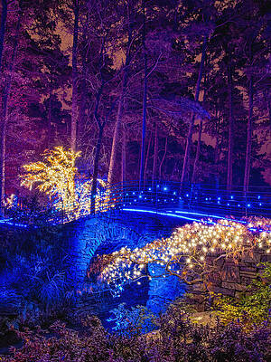 Wall Art - Photograph - Stone Bridge - crop by Daniel George