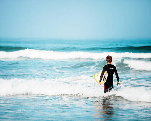 Searching For Waves by Stephanie Sherman