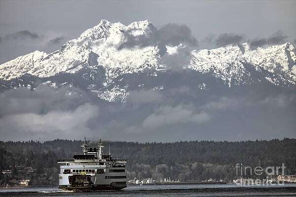 Seattle by Steve Leach