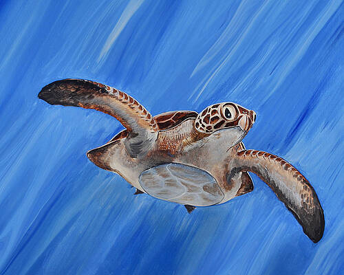Seaturtle by Steve Ozment Seaturtle by Steve Ozment