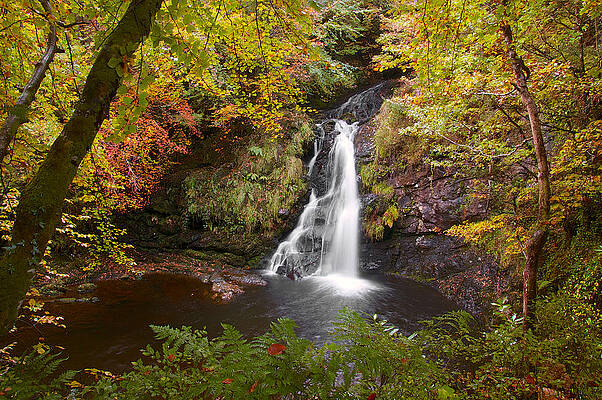Secluded Waterfall by Trever Miller Secluded Waterfall by Trever Miller