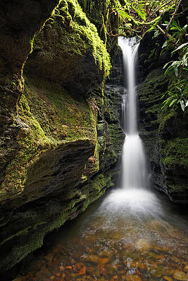 Secret Falls - Mt Wellington by Anthony Davey Secret Falls - Mt Wellington by Anthony Davey