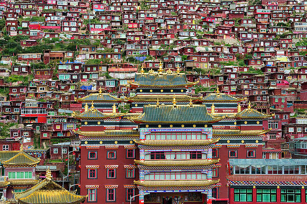Wall Art - Photograph - Seda Larung Wuming, Temple With Red Log by Keren Su