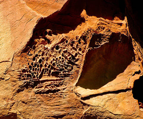 Sedona Rock by Steve Purifoy