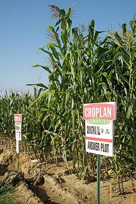 Wall Art - Photograph - Seed Company Crop Demonstration Plot by Science Photo Library