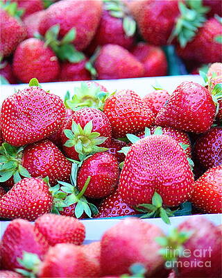 Sweet Strawberries by Lisa Billingsley Sweet Strawberries by Lisa Billingsley