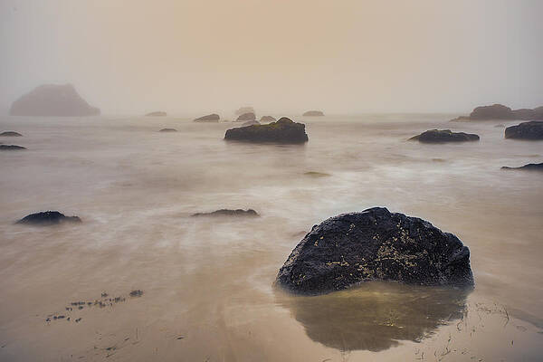 Wall Art - Photograph - Sehnsucht by Adam Mateo Fierro