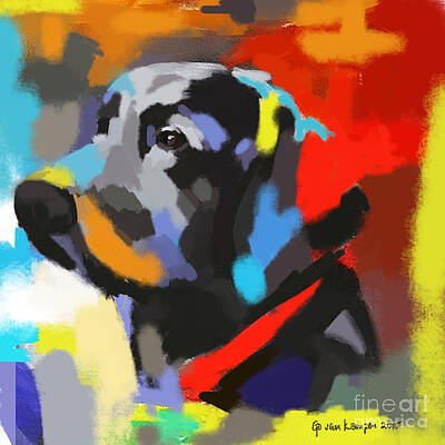 Dog Sem by Go Van Kampen Dog Sem by Go Van Kampen