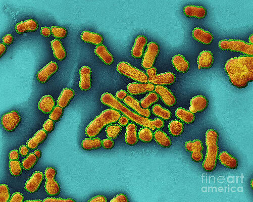 Wall Art - Photograph - Sem Of Influenza A Virus by Eye of Science