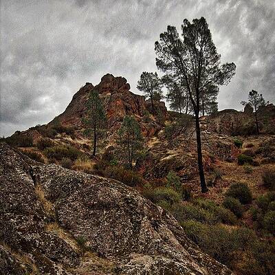 Wall Art - Photograph - Sentinel By The Pinnacle - Pinnacles by Mark David Gerson