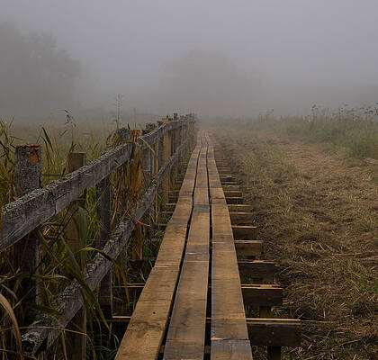 September mist HDR - foggy day over walk way by Leif Sohlman September mist HDR - foggy day over walk way by Leif Sohlman