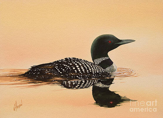 Loon Paintings - Pixels