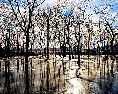 Wall Art - Photograph - Serenity Frozen 2 by Kevin Anderson