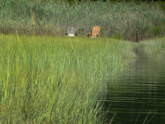 Serenity by MaryAnn Barry Serenity by MaryAnn Barry