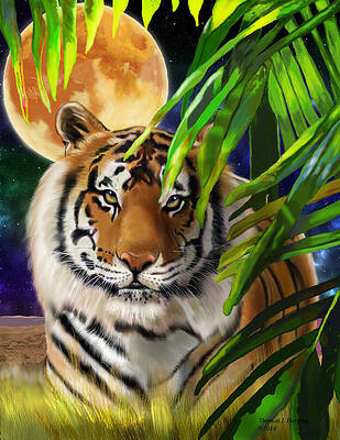 Second in the Big Cat Series - Tiger by Thomas J Herring Second in the Big Cat Series - Tiger by Thomas J Herring