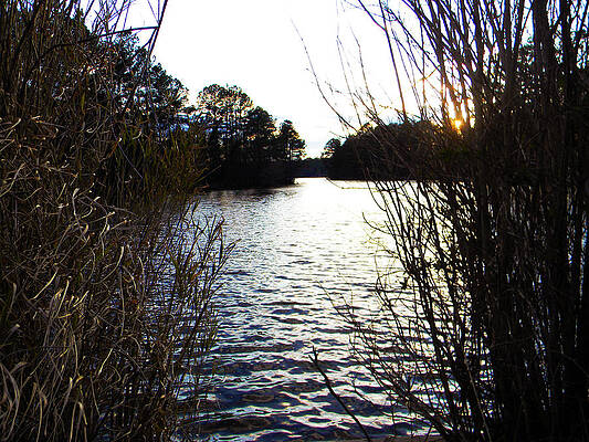 Setting by Morgan Tyndale